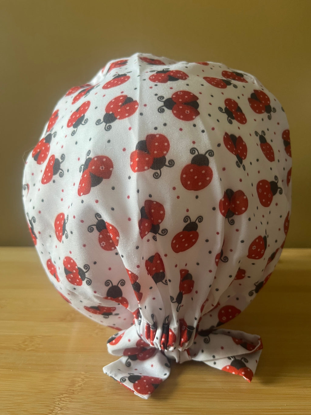 Calot coccinelles